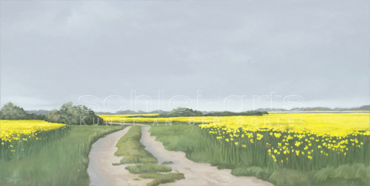 Leinwanddruck "an der Schlei" 30X60cm, 100x50cm